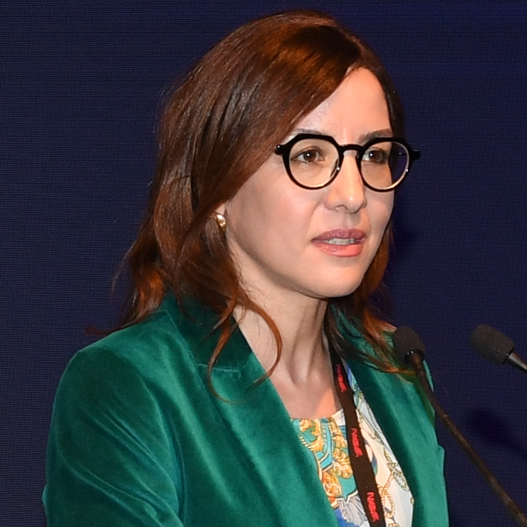 Nissrine Souissi