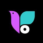 Saadia Karam - Colibri Media Group