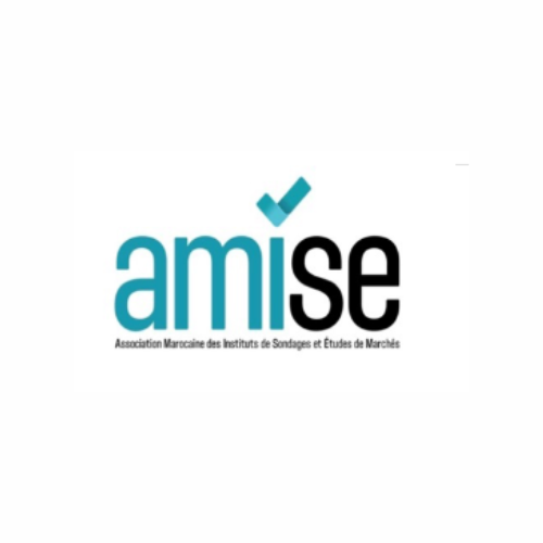 AMISe Logo