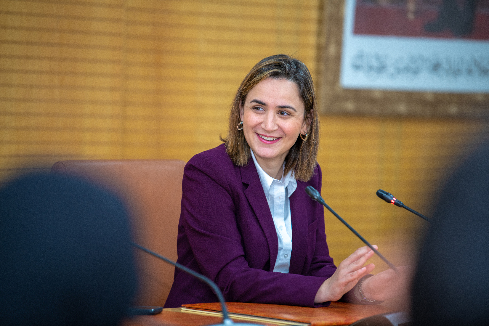 Mrs. Ghita Mezzour